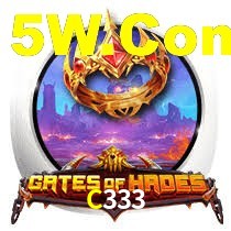 C333
