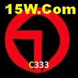 Ofertas Exclusivas C333